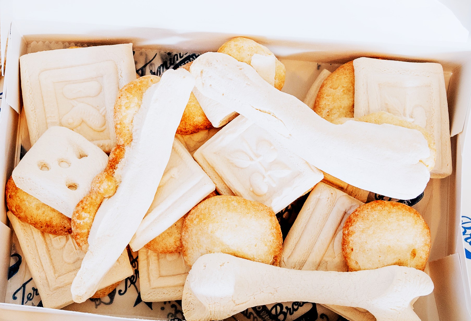 Dead Bones Gift Box Ready To Ship