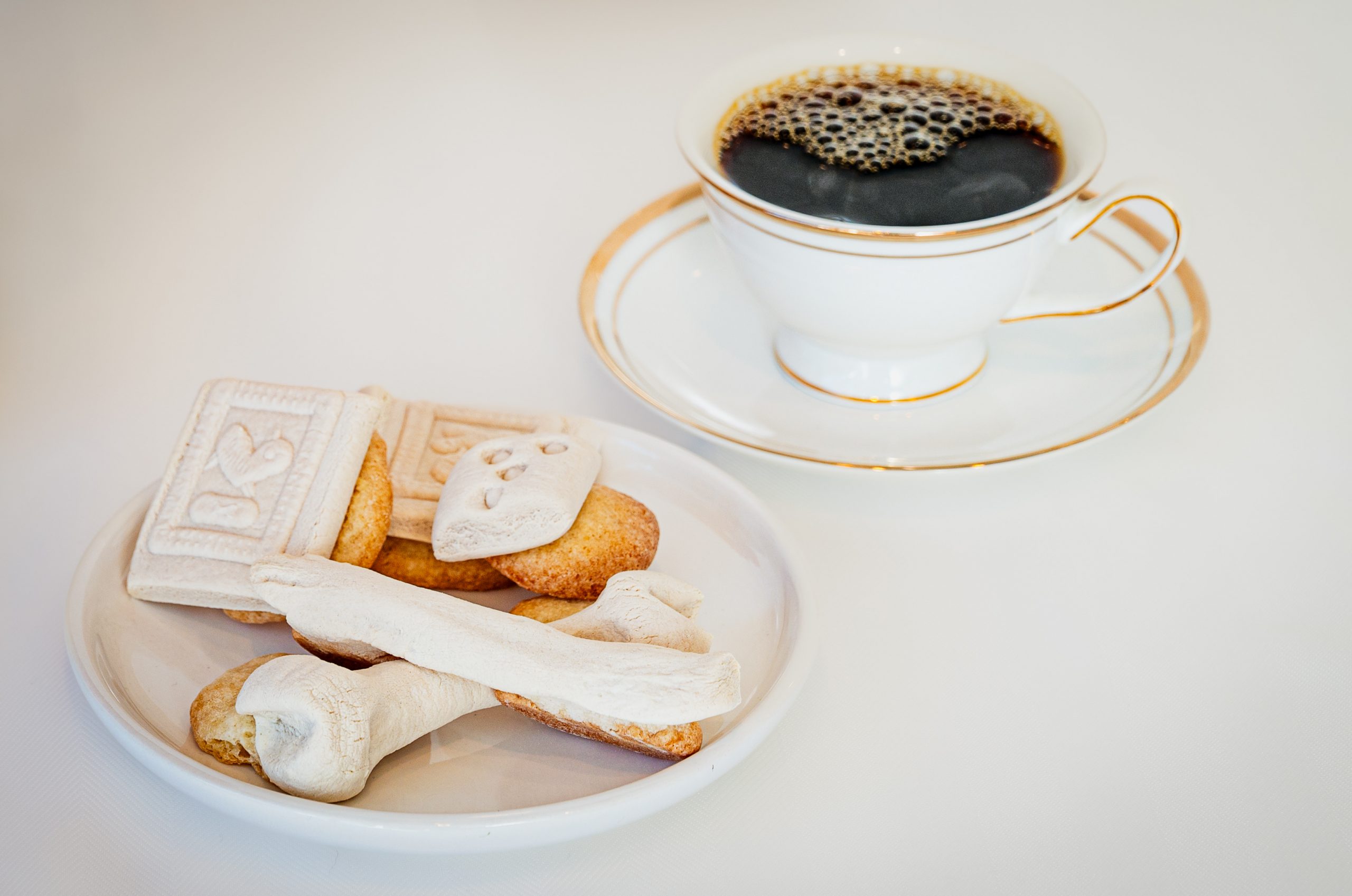 Dead Bones Gift Box with Tools